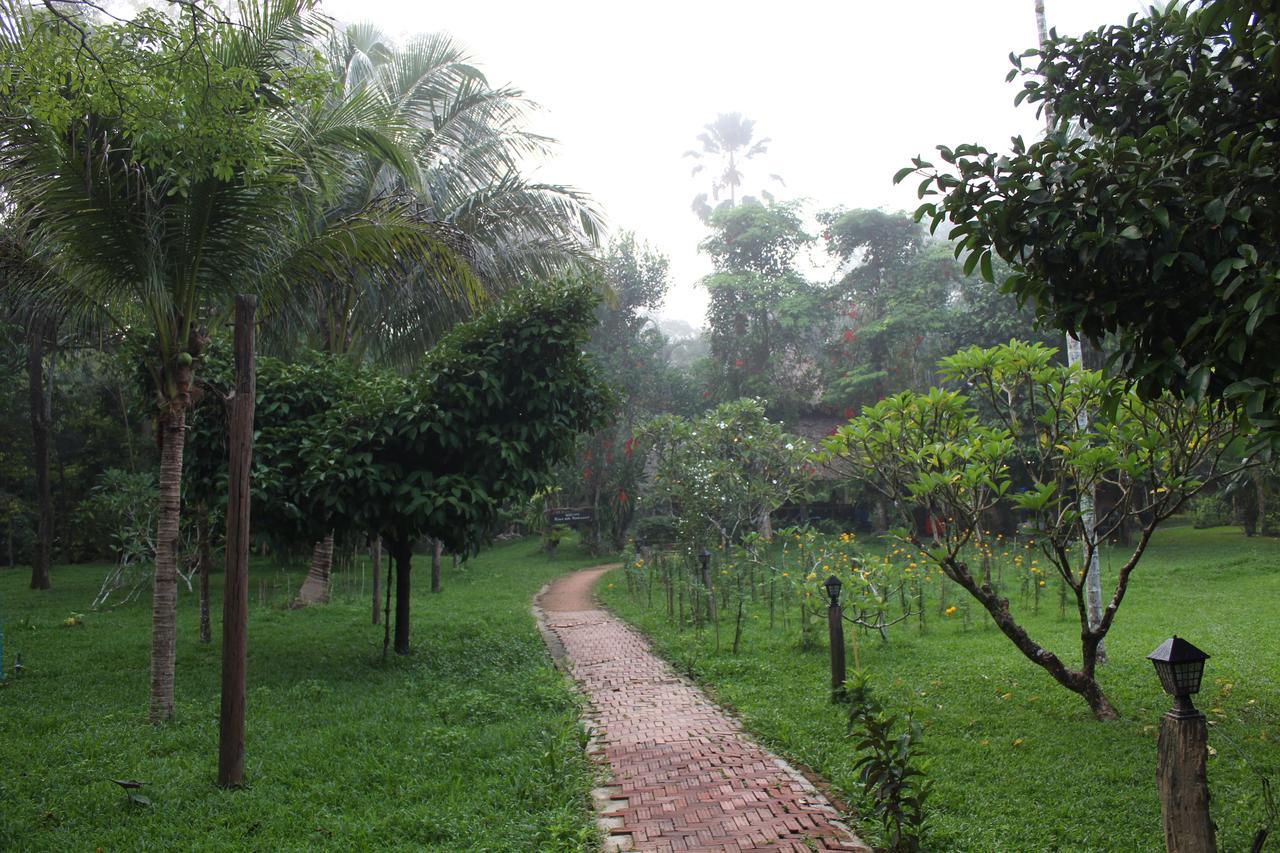 Baan Khaosok Resort Khao Sok National Park Exterior photo